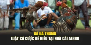 Đá Gà Thomo