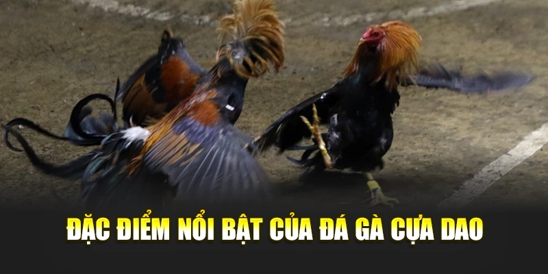 Đặc điểm nổi bật của đá gà cựa dao