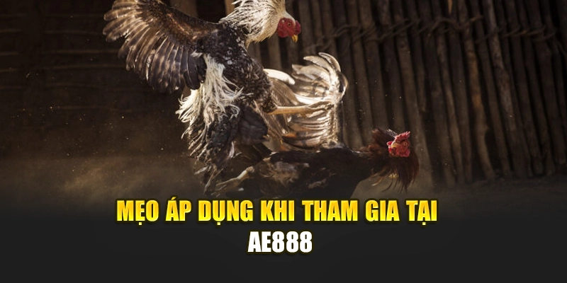 Mẹo áp dụng khi tham gia tại nhà cái