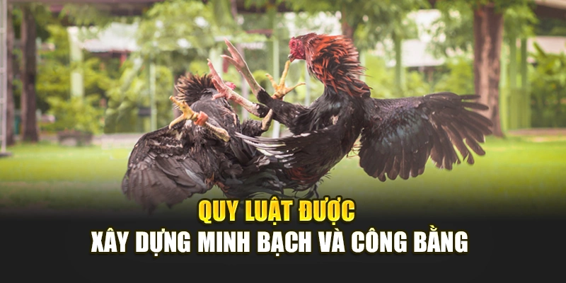 Quy luật được xây dựng minh bạch và công bằng